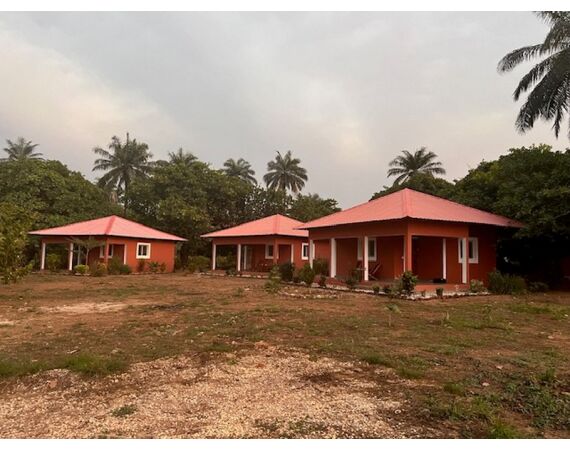 Guinea Bissau group nov 26