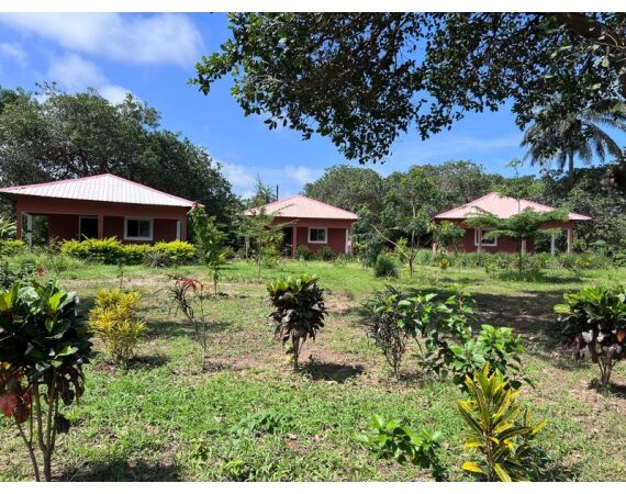 Guinea Bissau group nov 26