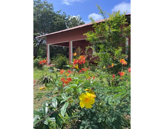 Guinea Bissau group nov 26