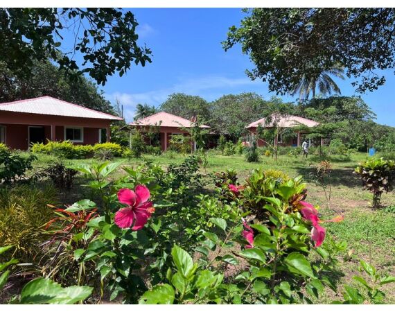 Guinea Bissau group nov 26