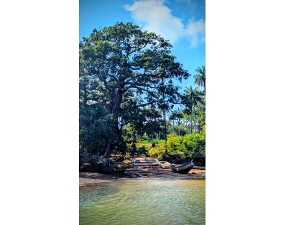 Guinea Bissau group nov 26