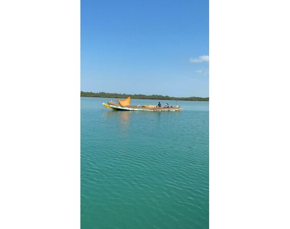 Guinea Bissau group nov 26