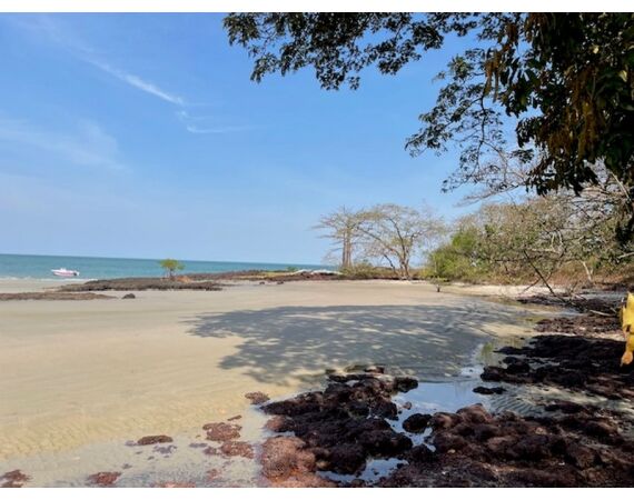 Guinea Bissau group nov 26