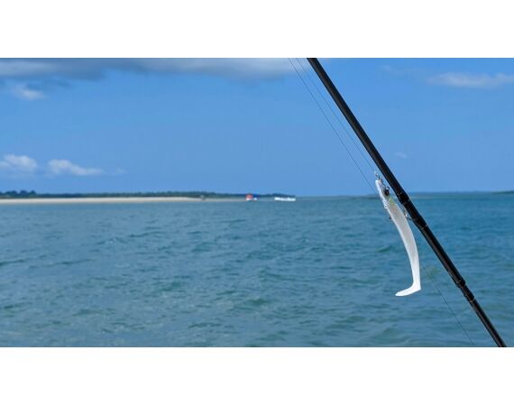 Guinea Bissau group nov 26