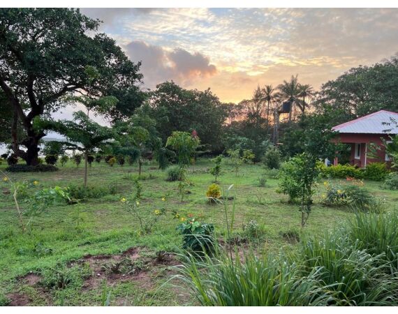 Guinea Bissau group nov 26