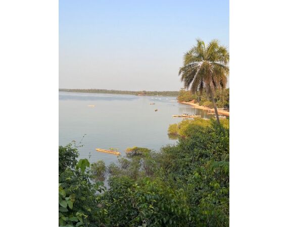 Guinea Bissau group nov 26