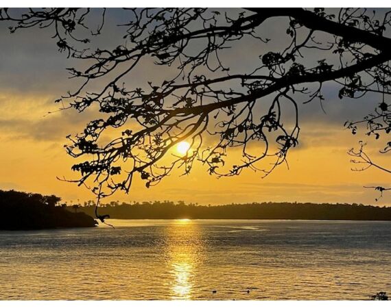 Guinea Bissau group nov 26