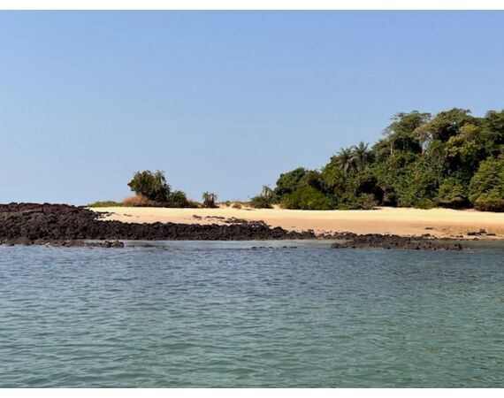 Guinea Bissau group nov 26