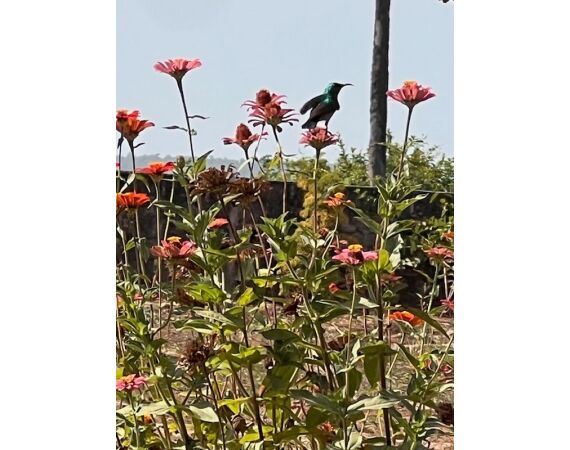 Guinea Bissau group nov 26