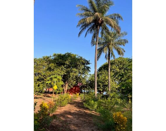 Guinea Bissau group nov 26