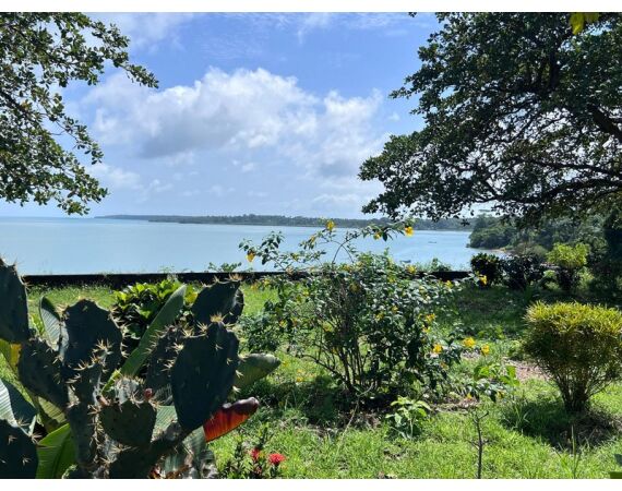 Guinea Bissau group nov 26