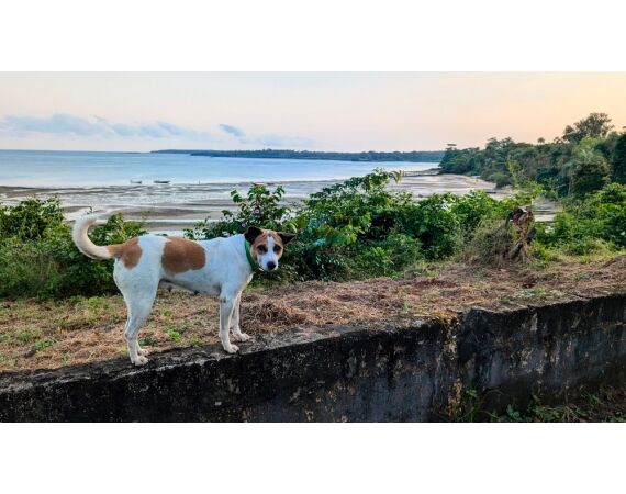 Guinea Bissau group nov 26