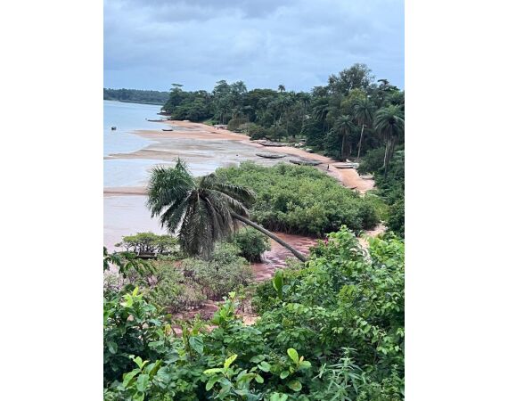 Guinea Bissau group nov 26