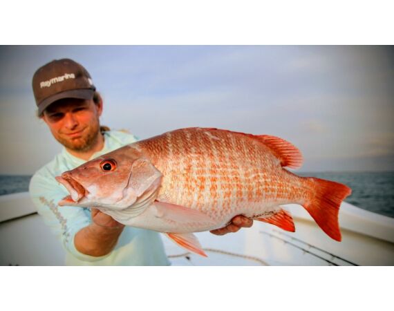 Guinea Bissau group nov 26