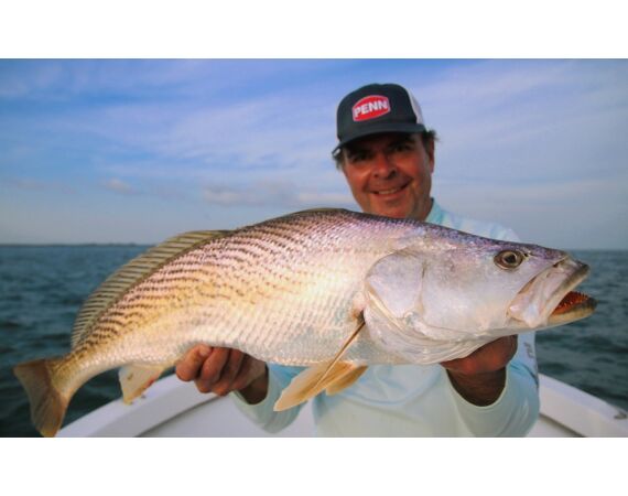 Guinea Bissau group nov 26