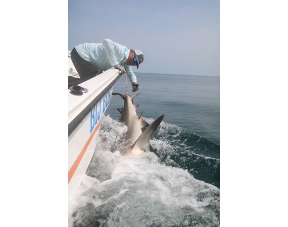 Guinea Bissau group nov 26