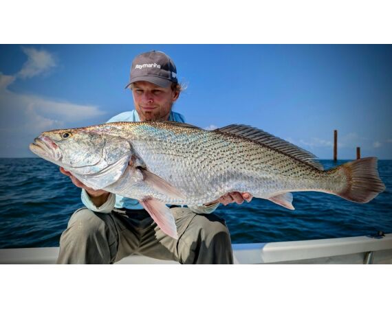 Guinea Bissau group nov 26