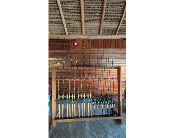 Arapaima Bolivia sep 2027