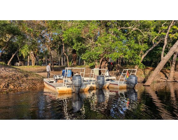 Arapaima Bolivia sep 2027