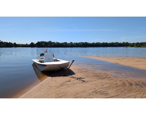 Arapaima Bolivia sep 2027