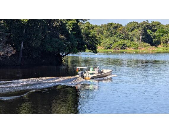 Arapaima Bolivia sep 2027