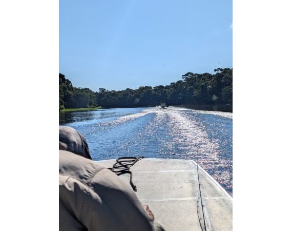 Arapaima Bolivia sep 2027