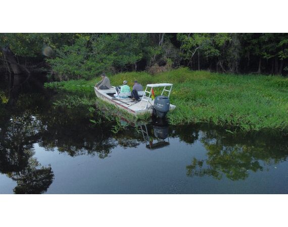 Arapaima Bolivia sep 2027