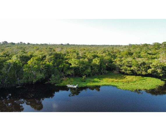 Arapaima Bolivia sep 2027