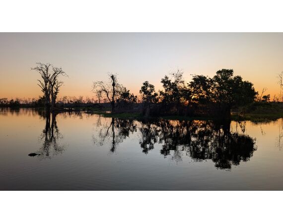 Arapaima Bolivia sep 2027