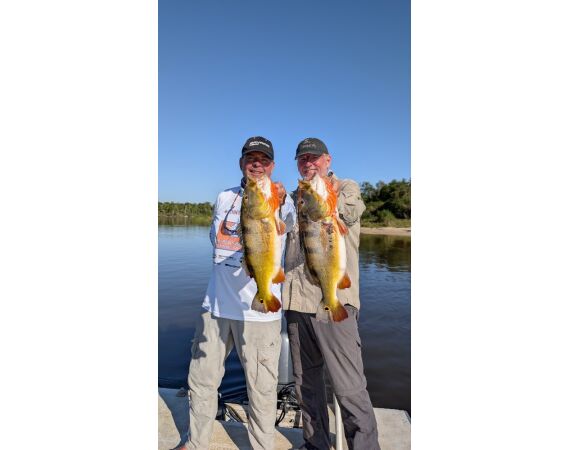 Arapaima Bolivia sep 2027