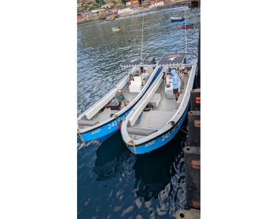 Robinson Crusoe, Chili feb 2027