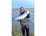 Drowes salmon Ireland