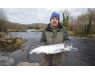 Drowes salmon Ireland