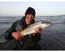 Moen, Denmark seatrout 