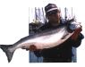 Bering Sea, salmon and halibut