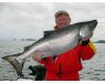 Bering Sea, salmon and halibut