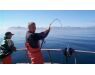 Bering Sea, salmon and halibut
