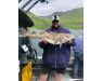 Bering Sea, salmon and halibut