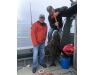 Bering Sea, salmon and halibut