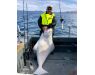 Bering Sea, salmon and halibut