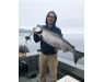 Bering Sea, salmon and halibut