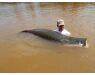 Arapaima Bolivia aug 2026