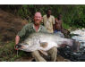 Uganda Nileperch