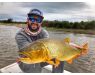 Argentina , Golden Dorado