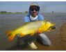 Argentina , Golden Dorado