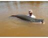 Arapaima Bolivia sep 2027